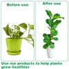 50Pcs Plant Stake Clip Set Green, Plant Sticks Supplies Support