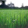 BOEN Garden Fence Temporary Barrier Outdoor Fence for Dog, Rabbit