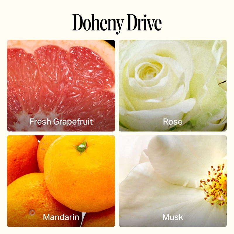 Preston Lane Luxury Dish Soap, Doheny Drive Scent | Plant