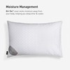 Bedgear Dri-Tec Performance Pillow Protector - Moisture Wicking by Dri-Tec