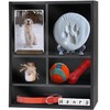 Sofunii Pet Memorial Shadow Box with Shelves for Dogs or
