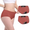 CARER Healthcare Incontinence Pregnancy Carer Incontinence Underwear for Women Washable