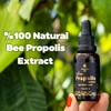 Anatolia Life Natural Bee Propolis Extract, 30 mL, Advanced Liquid