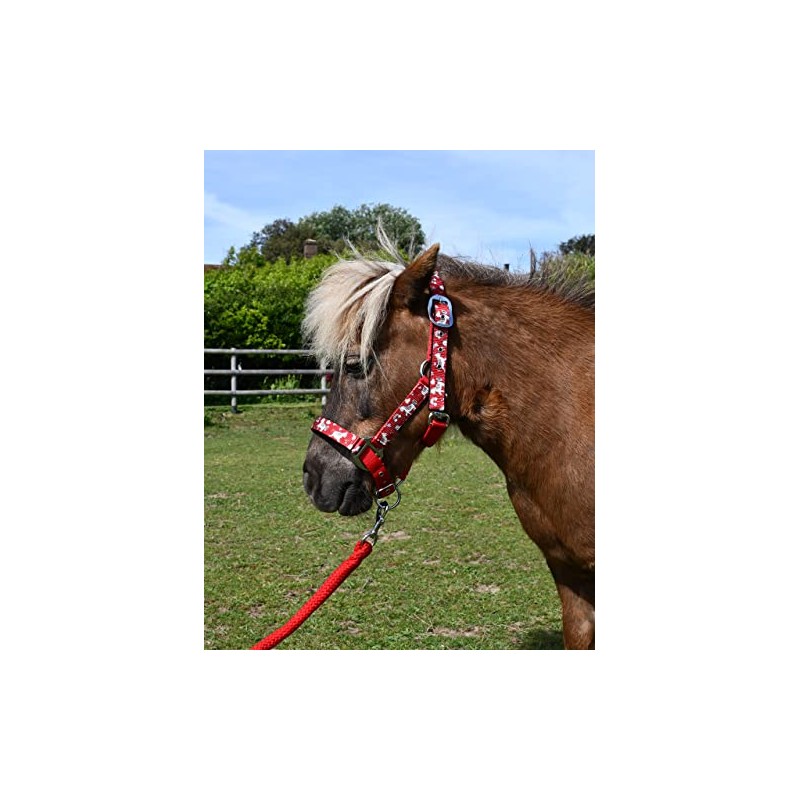 Rhinegold Unicorn Headcollar and Rope Set - Pony - Red