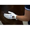 Roeckl Sports Maryland Riding Gloves, Tournament Summer Gloves, Black 6