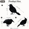 KTJEGE 3 Pack Artificial Feathered Halloween Crows,Black Realistic Raven