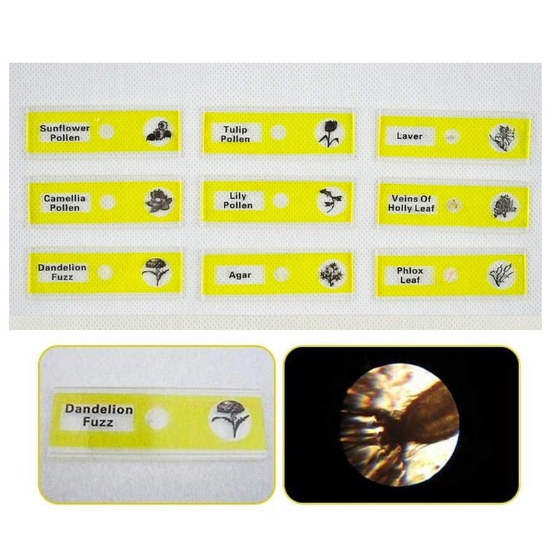 JZK 48 x Plastic Microscopes Slides for Children with Animals,