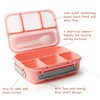 Swkien Bento Box for Kids,1300ML-Bento Lunch Box 4 Compartment Bento
