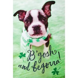 Sure Do Adore Ya - Happy St. Patrick's Day Greeting Card with Boston Terrier Dog