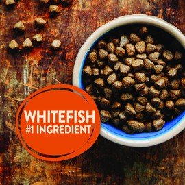 Wellness CORE Natural Grain Free Dry Dog Food, Ocean Whitefish, Herring & Salmon, 4-Pound Bag