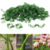 100 Pcs Plant Support Clips, Secure Plastic Plant Clips for
