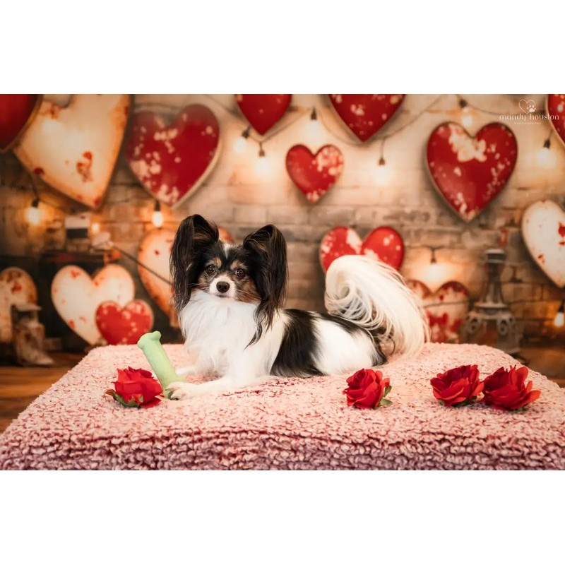 Kate Valentines Day Backdrop Red Love Heart Brick Wall Photo