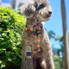 Essential Dog Sensitive Dog Deodoriser - Chamomile, Sweet Orange &