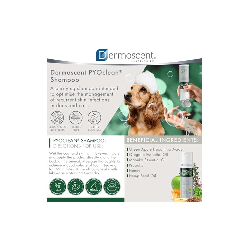Pyoclean Shampoo