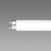 Hotarx NEC Lighting FL8W