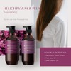 Theorie: Sage - Helichrysum & Plum - Nourishing Shampoo -