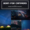 LED Camping Lantern USB or Solar Powered Rechargeable Emergency Lights