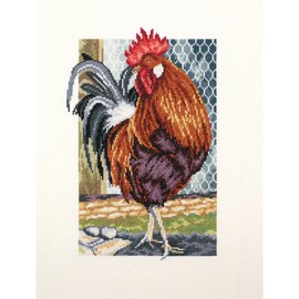 RTO Rooster of The Walk Cross Stitch Kit 6.75 x 9.5-inch 18 Count, Acrylic, Multicolour, 20.95x27.94x0.63 cm