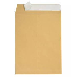 Stylus 20 PCS -9x12 Kraft Brown Self Seal Catalog Envelopes with Peel Mailing