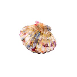 Acrylic Resin Shell Shape Hair Claw Clip Jaw Clamps Clip - Women Fashion Barrettes Hair Clips Hairpins Headwear Hair Accessories for Beach Travel Seaside Vacation (Multicolor)