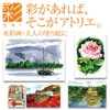 Akashiya Brush Pen, Watercolor Brush, Color Set of 14 +