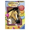 Ravensburger 29582 Painting by Numbers 8.5 x 12 cm Horse