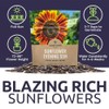 Evening Sun Sunflower Seeds - Extra Large 1 Ounce Packet