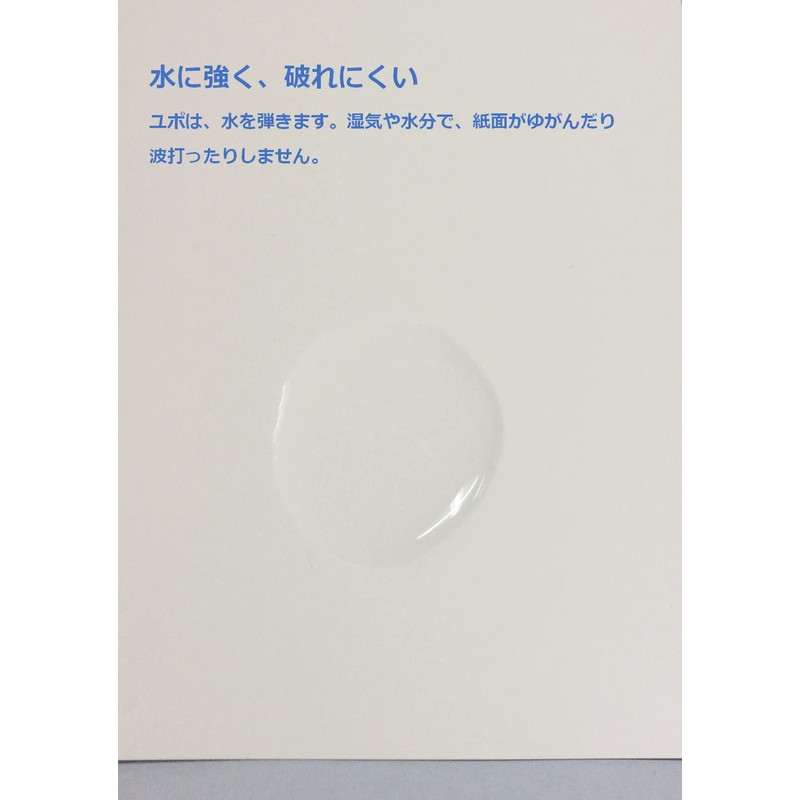 ペーパーエントランス ユポ 合成紙 A4 中厚 約0.11mm 耐水 アルコールインクアート 25枚 55038