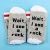 Geology Socks Wait I See A Rock Socks Rock Collector