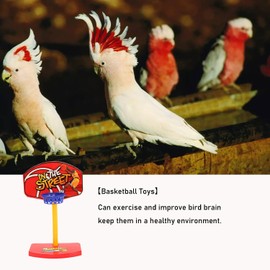 Fsocpen parrot Intellective Mini Basketball Rack Training Toy,Birdie Basketball Bird Toy,Bird Chew Ball Foraging Toys, Parrot Activity Toys, Bird Training Gym Toys