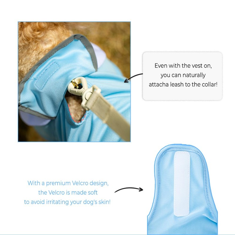 PETRIUM Dog Cooling Vest - Cute, Lightweight, Breathable, Reflective Cooling