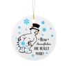 Thyle Funny Christmas Ornaments for Adults How Snowflakes are Really