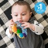 Baby Einstein Juguete Teether-pillar, color Multi, paquete de 1