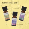 Tisserand Aromatherapy Tisserand - Organic Pure Essential Oil - Ylang