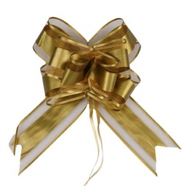 Lotnery 10 Pack Elegant Organza Pull Bows, Large 6 Inches Diameter, Bows for Gift Wrapping, Wedding Decorations, Christmas Party Favours, Baby Showers & Flower Bouquets, Add Charm to Special Occasions