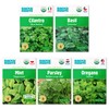 Back to the Roots Organic Herb Seeds Variety (5-Pack)