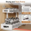 2 Pack 17IN Depth Under Sink Storage Organizer, Large 2-Tier