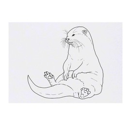 'Chubby Otter' Temporary Tattoo - Water Resistant, Skin-Safe, Non-Toxic Transfer (TO00080719)