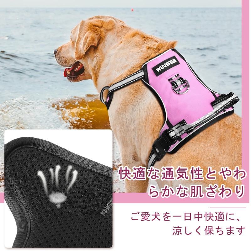 WINSEE Dog Harness, For Small/Medium/Large Dogs, Noble Training, Escape Prevention,