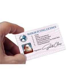 #1209 Santa Claus/Father Christmas Lost Driving/Sleigh Licence