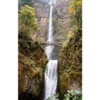 CafePress Multnomah Falls Oregon Rectangle Bumper Sticker Car Decal