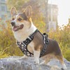 HEELE Dog Harness, No Pull Dog Harness Small, Release on