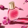 Clarins [Clarins] Fix Makeup Set Makeup 50ml (Makeup Fixer) /