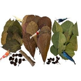Awesome Aquatic Shrimp Combo Kit 10 Each Catappa, Mulberry and Dadap Leaves, Alder & Casuarina Cones, 10 g Catappa Bark and 1-6 inch Cholla Wood