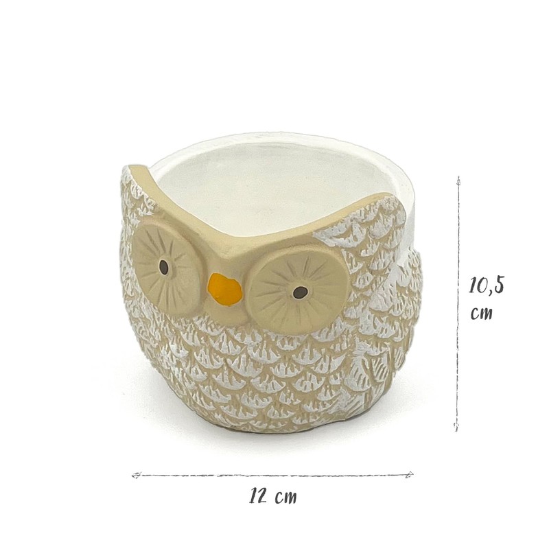 Owl Vase Hand Decorated Home Decoration for Flowers Plants Succulents