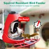 Bird Feeder Camera Wireless Outdoor, Dual Seed Chambers & Squirrel-Proof,