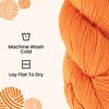 HiKoo Sueno Worsted Weight Yarn Hank, Soft Yarn for Knitting,