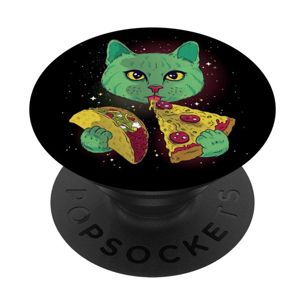 Cat with pizza and taco in space for men and