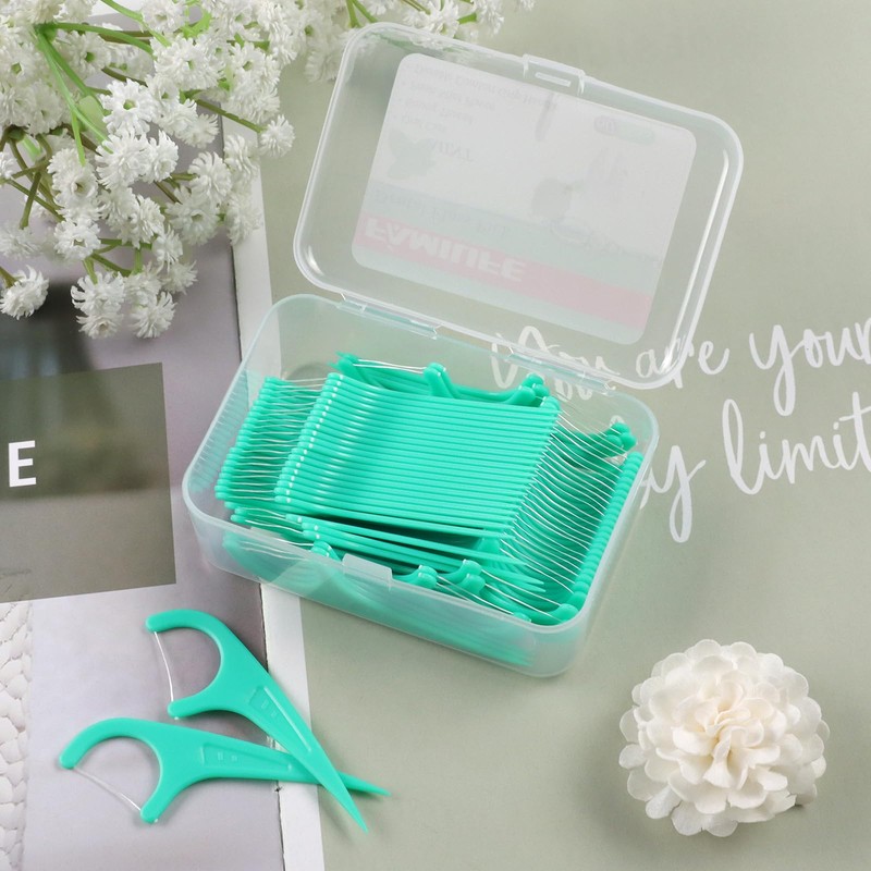 FAMILIFE Floss Picks, 240 Count Mint Dental Floss Cleaner, Tooth
