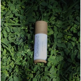 Bálsamo Labial Zanate Natural Cocoamint